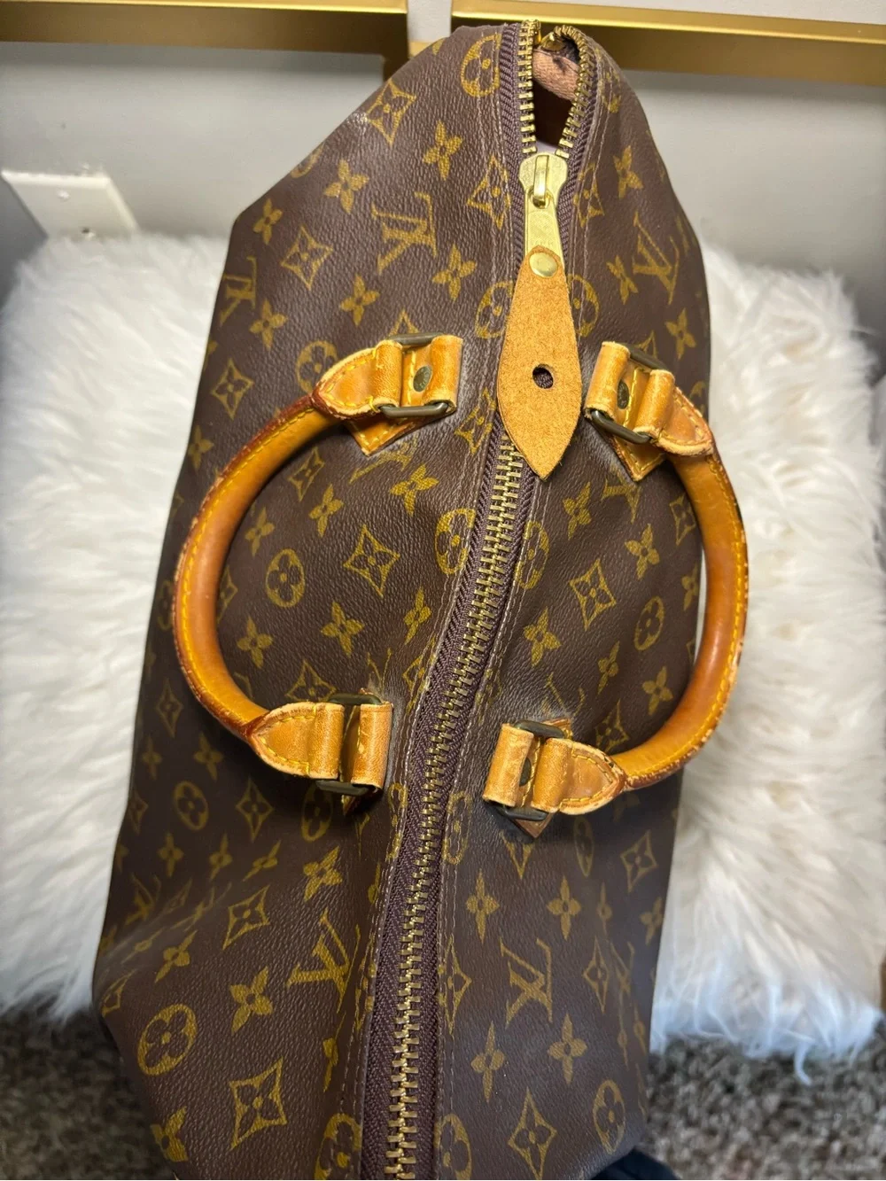 Louis Vuitton Monogram Canvas Speedy Handbag - Brown/Tan